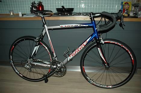 Wilier Evasion billede 1