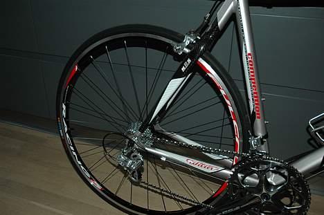 Wilier Evasion billede 5