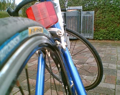 SCO Performance billede 8