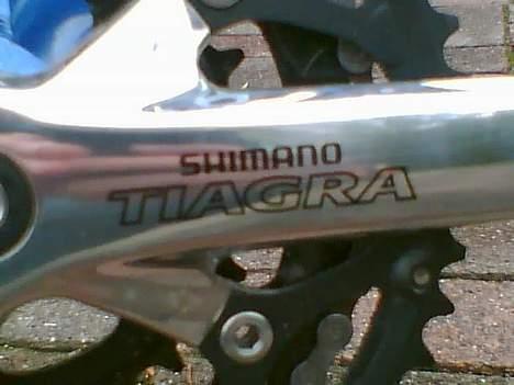 SCO Performance billede 9