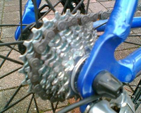 SCO Performance billede 12