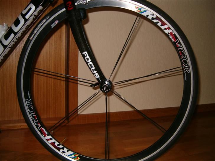 Focus Variado  - Mine Vigor hjul billede 2