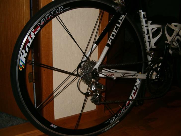 Focus Variado  - Rolf Prima Vigor  billede 6