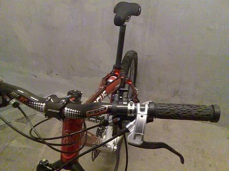 Focus First Team billede 3