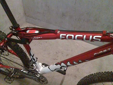 Focus First Team billede 4