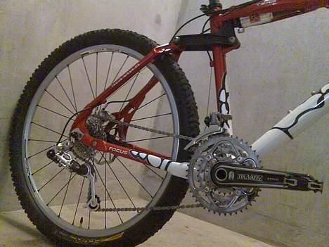 Focus First Team billede 5