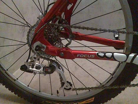 Focus First Team billede 8