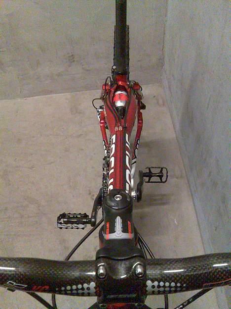 Focus First Team billede 11