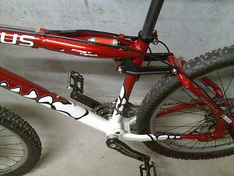 Focus First Team billede 12