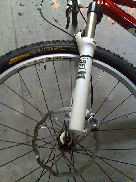 Focus First Team billede 13