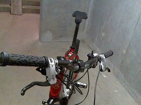 Focus First Team billede 14