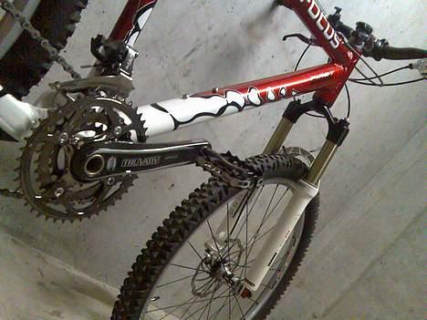 Focus First Team billede 15