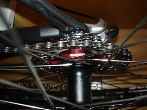 Radon ZR Litening 6.0 billede 15