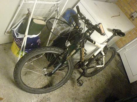 Mosquito Innovation billede 1