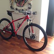 Specialized Stumpjumper 2013