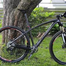 Kingdom Bike Project carbon 29"
