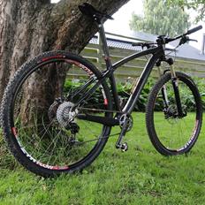 Kingdom Bike Project carbon 29"