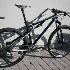 Haibike Sleek SL 29" Custom