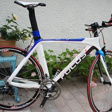 Focus Izalco Tria