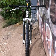 On-One Inbred single speed 29"