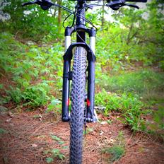 Specialized Carve Expert 29" 2013
