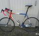 Wilier Triestina Team Cofidis
