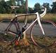 Merida Scultura 905 [tidl. cykel]