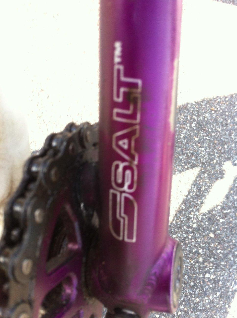 Wethepeople Versus 2010 billede 5