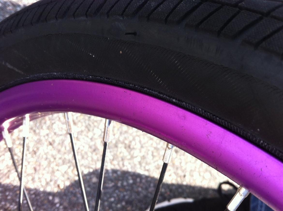 Wethepeople Versus 2010 billede 10