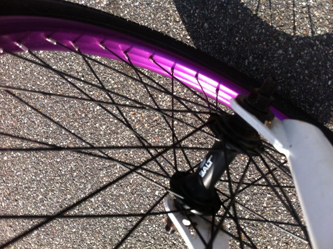 Wethepeople Versus 2010 billede 13