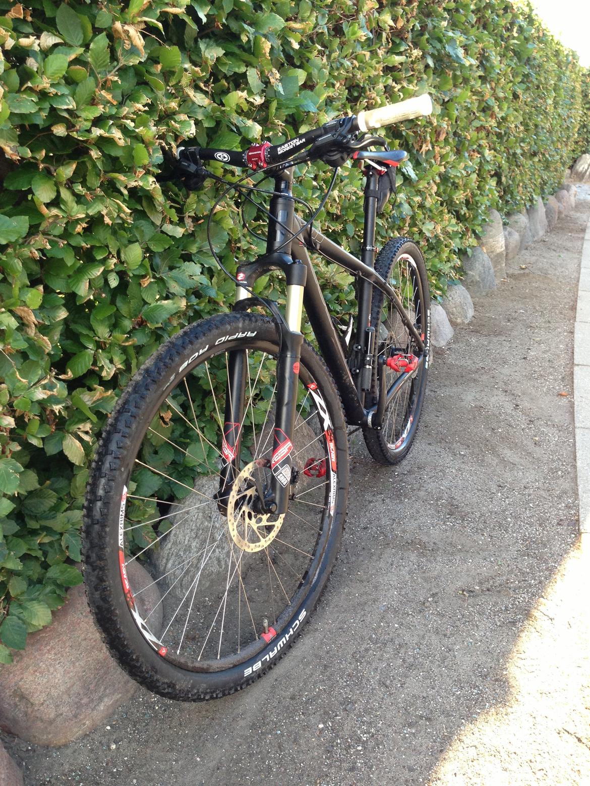 Cube LTD PRO 29" billede 6