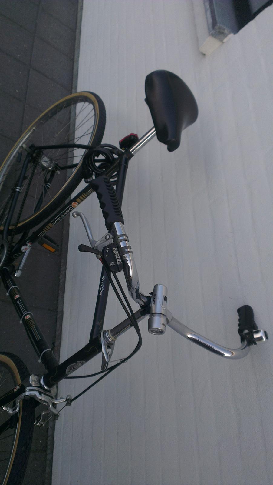 Gazelle Retro billede 4