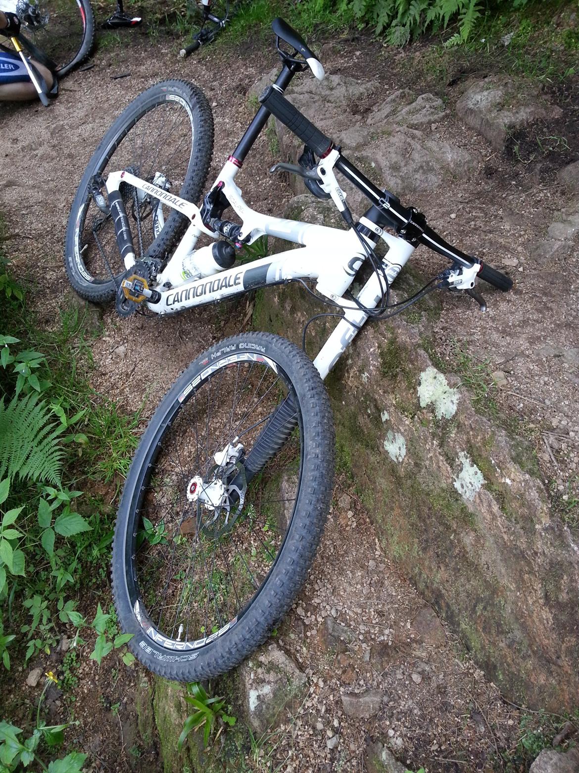Cannondale Scalpel 3 29'' billede 8