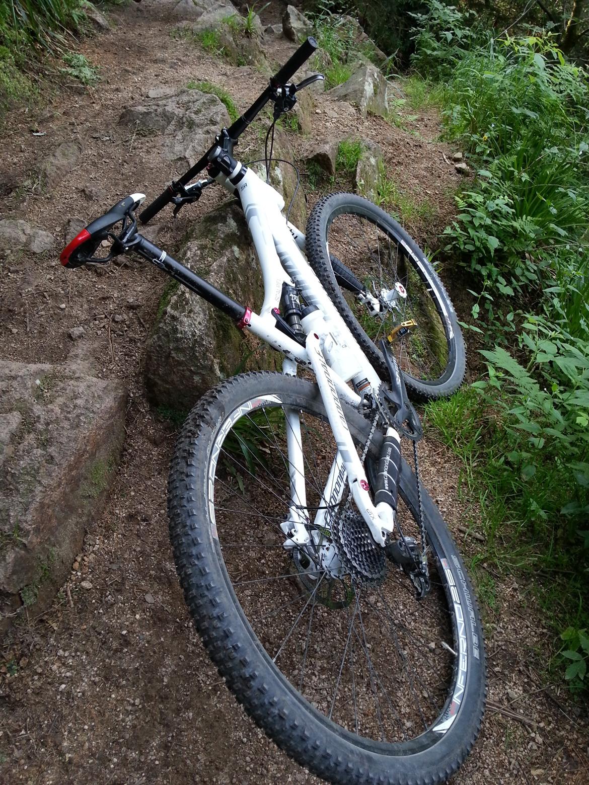 Cannondale Scalpel 3 29'' billede 9