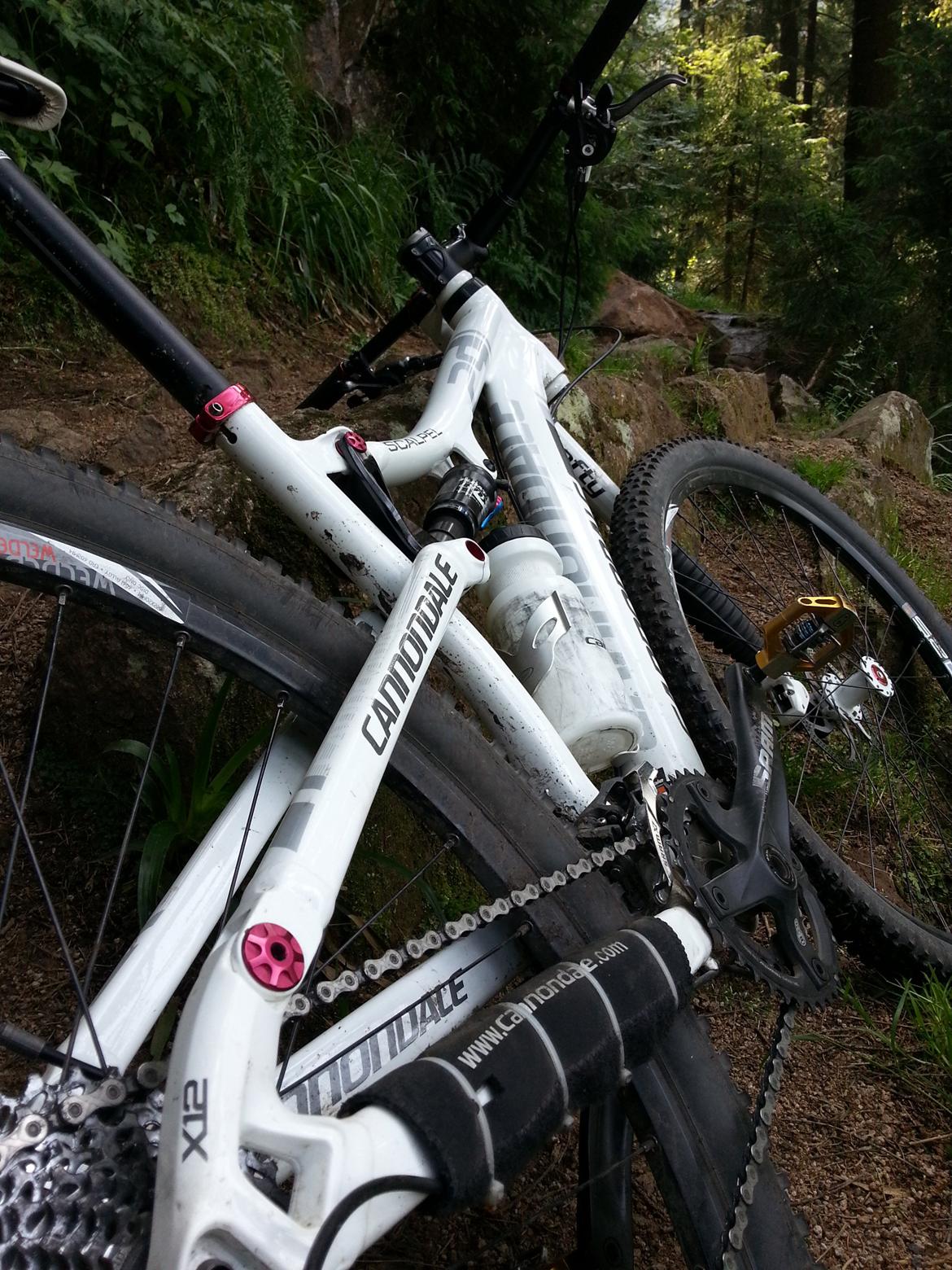 Cannondale Scalpel 3 29'' billede 10