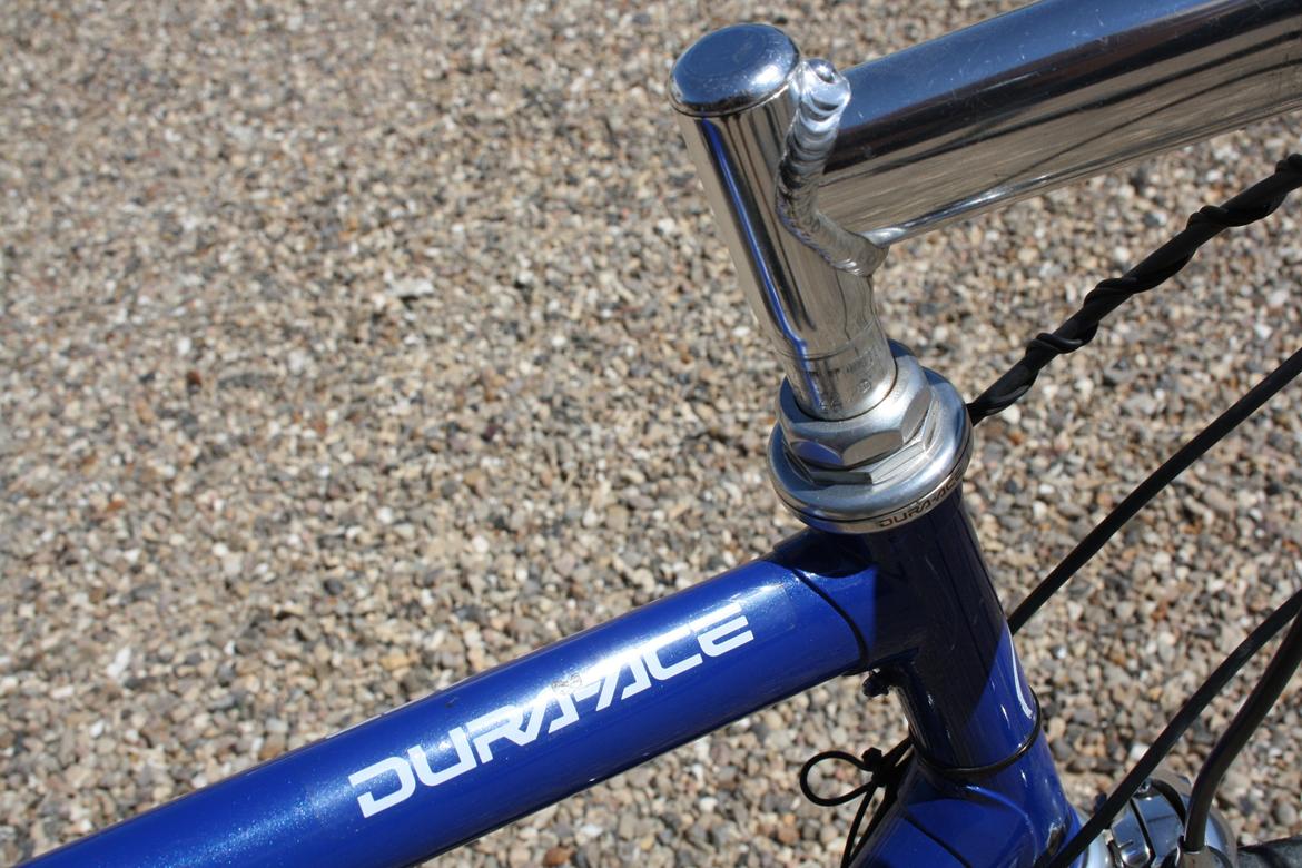 Columbus Sancineto billede 12