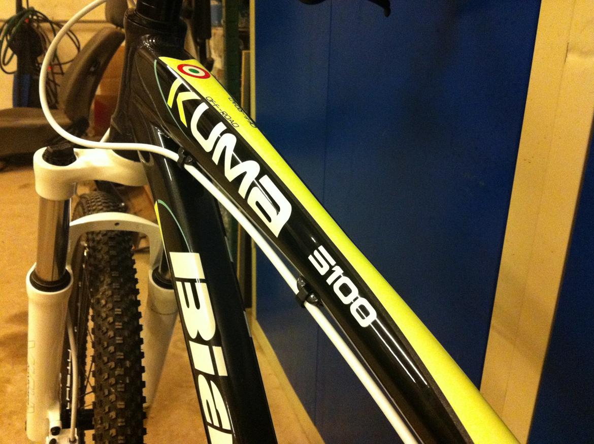 Bianchi Kuma 5100 off-road billede 5