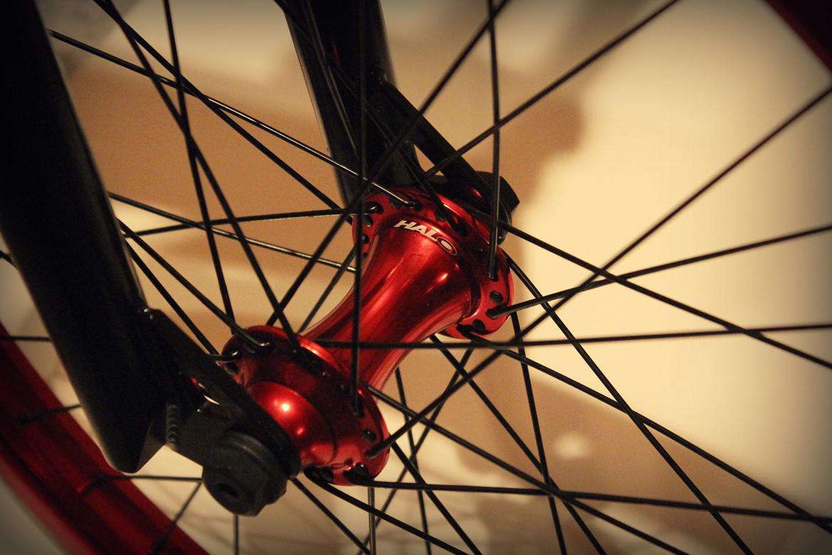 Stolen score billede 2