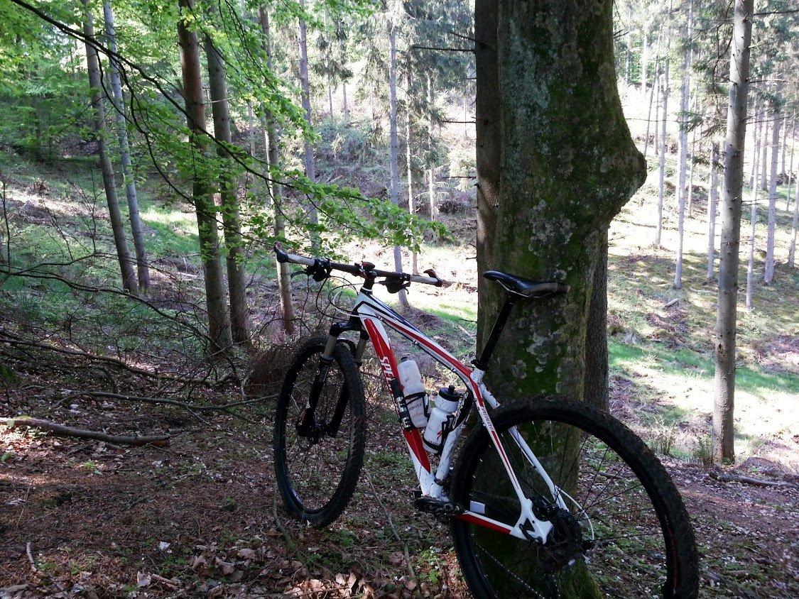 Specialized Carve Pro 2012 billede 21