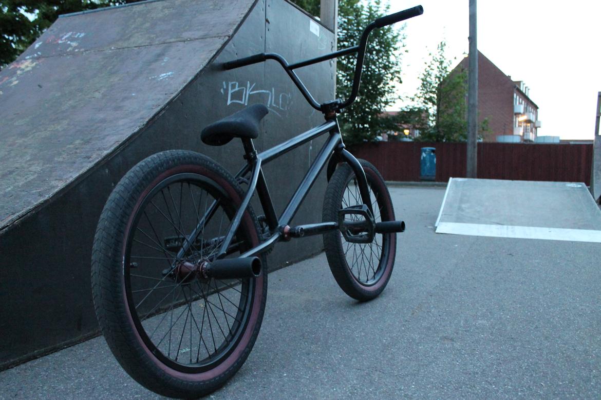 Wethepeople Volta 2011 billede 1