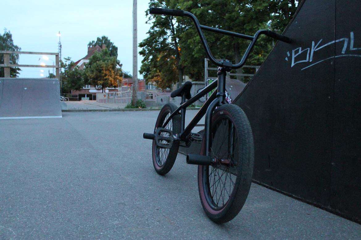 Wethepeople Volta 2011 billede 2