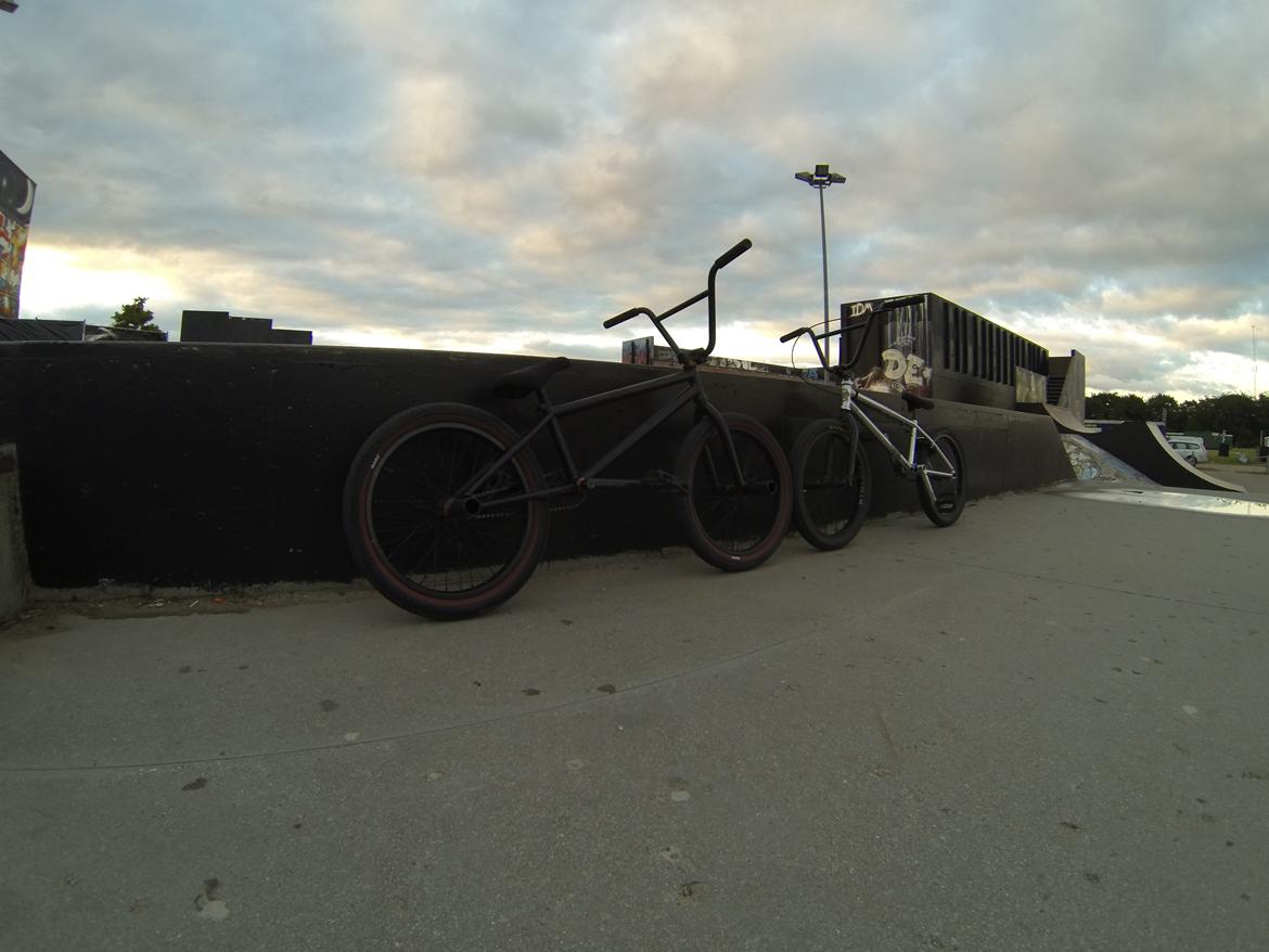 Wethepeople Volta 2011 billede 7