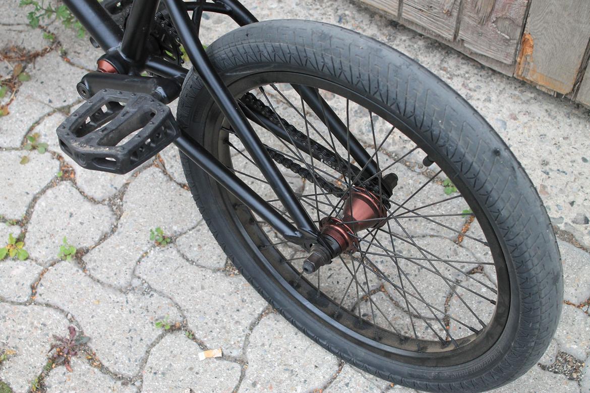 Wethepeople Volta 2011 - Helt ny. billede 12