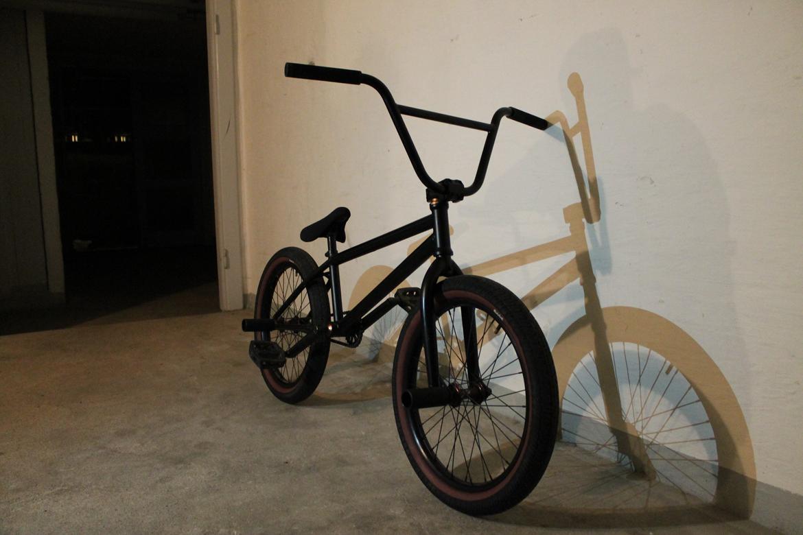 Wethepeople Volta 2011 billede 6
