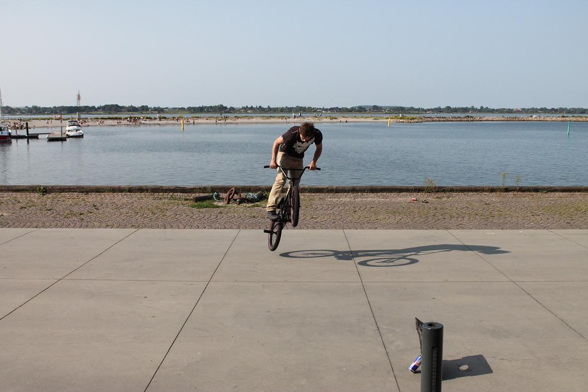 Wethepeople Volta 2011 billede 5