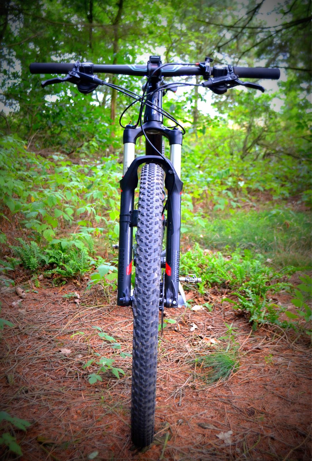 specialized carve expert 29 price