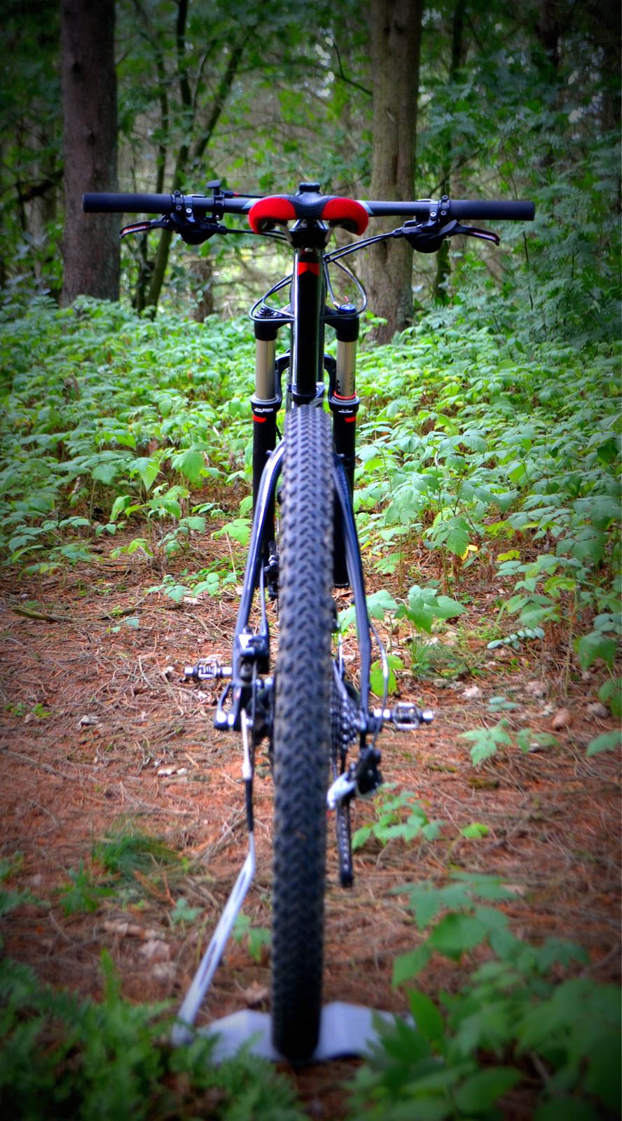 Specialized Carve Expert 29" 2013 billede 4