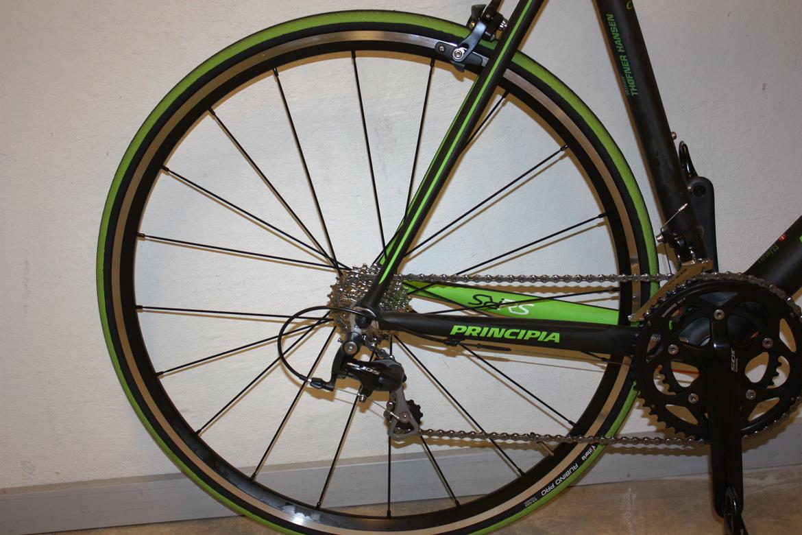 Principia PRINCIPIA RS C16T SHIMANO 105 billede 2