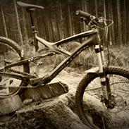 Specialized Enduro Expert Carbon 