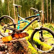 Specialized Enduro Expert Carbon 